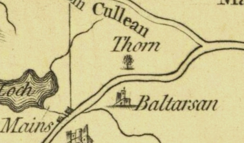 Detail from an old estate map showing 'Cullean Thorn' — the Peden Thorn — beside Baltarsan